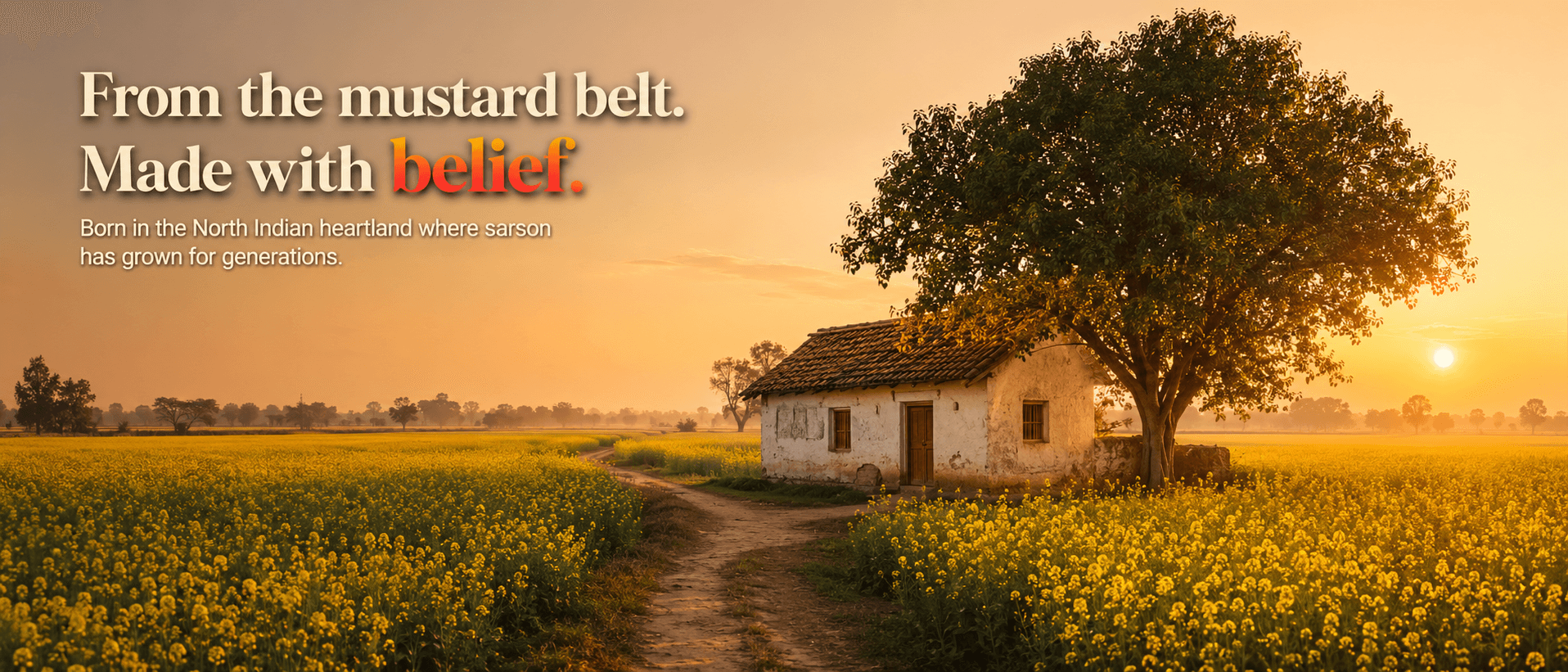 Mustard fields at golden hour with the Ashnoor story From the mustard belt made with belief